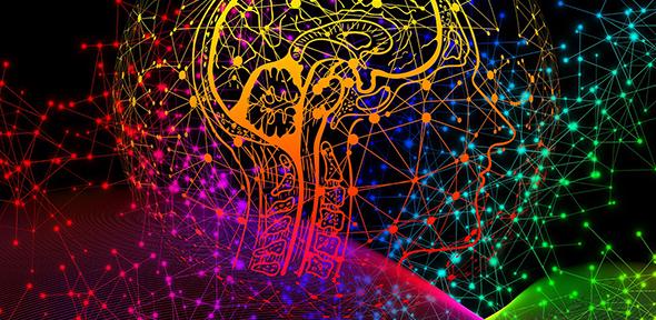 Abstract illustration of a human head in cross section overlaid with a node network - all in a tasteful rainbow of colours